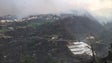 Imagem de Apoios a fundo perdido à agricultura em 6 concelhos na Madeira