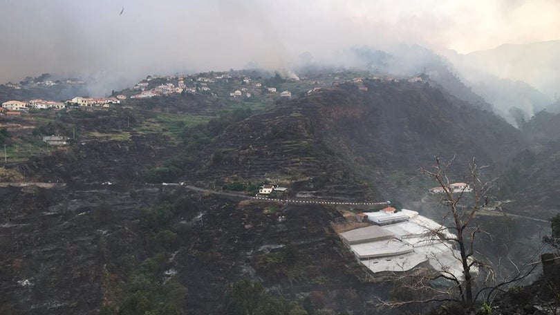 Apoios a fundo perdido à agricultura em 6 concelhos na Madeira