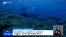 Imagem de «Underwater» mostra os mares da Madeira (vídeo)