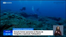 «Underwater» mostra os mares da Madeira (vídeo)