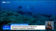 Imagem de «Underwater» mostra os mares da Madeira (vídeo)