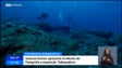 «Underwater» mostra os mares da Madeira (vídeo)