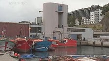 Imagem de Pescadores de Câmara de Lobos fugiram para o mar para evitar a cerca sanitária (Vídeo)
