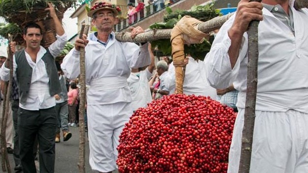 Imagem de Festa da Cereja começa amanhã