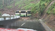 Imagem de Derrocadas e inundações causam problemas em Machico (vídeo)