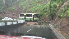 Derrocadas e inundações causam problemas em Machico (vídeo)