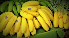 Imagem de Madeira bate recorde na produção de banana (áudio)