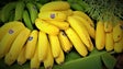 Imagem de Madeira bate recorde na produção de banana (áudio)
