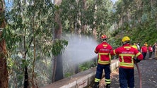 Imagem de Desde o início do ano o helicóptero de combate a incêndios já fez 46 missões (vídeo)