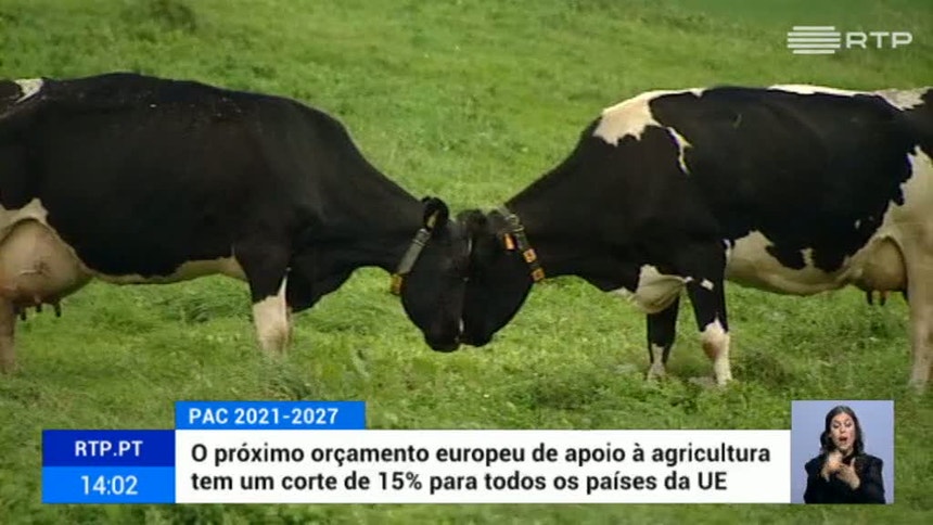 Apoio financeiro europeu à agricultura vai sofrer cortes