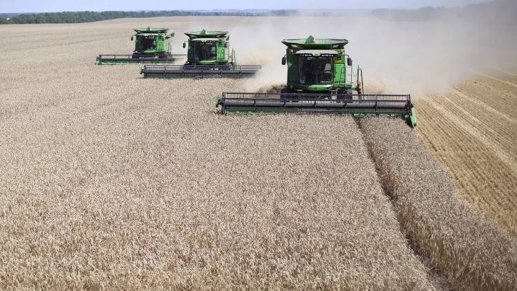 Rússia colheu 949 milhões em trigo ucraniano este ano