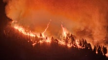 Imagem de Incêndio em Tenerife obrigou à retirada de mais de 26 mil pessoas
