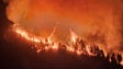 Incêndio em Tenerife obrigou à retirada de mais de 26 mil pessoas