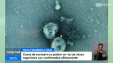 Imagem de Coronavírus. Porto Santo prepara plano de contingência (Vídeo)