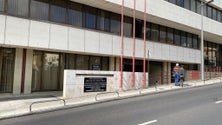 Imagem de Ambos os arguidos faltaram ao julgamento da queda da árvore no Monte