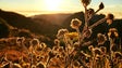 Outono com temperaturas acima da média