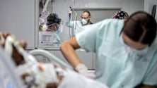 Imagem de Covid-19: Luz verde para uso de dexametasona em doentes que precisam de ventilação