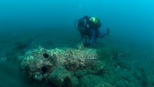 Imagem de Canhões do séc. XV descobertos na Baía de Angra (Vídeo)