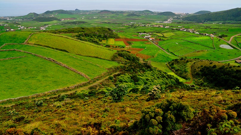 Imagem de À terceira