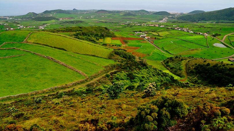 À terceira