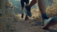 Imagem de Trail voltou às serras da Madeira (áudio)