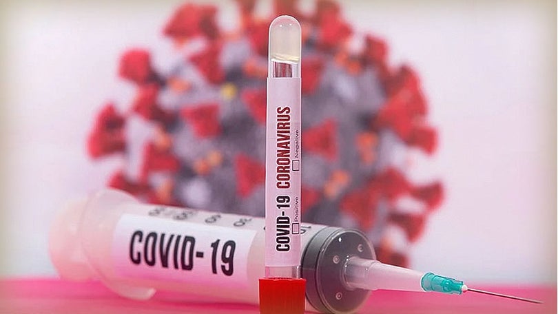 Imagem de Covid-19: Portugal com mais 82 mortos, novo máximo diário