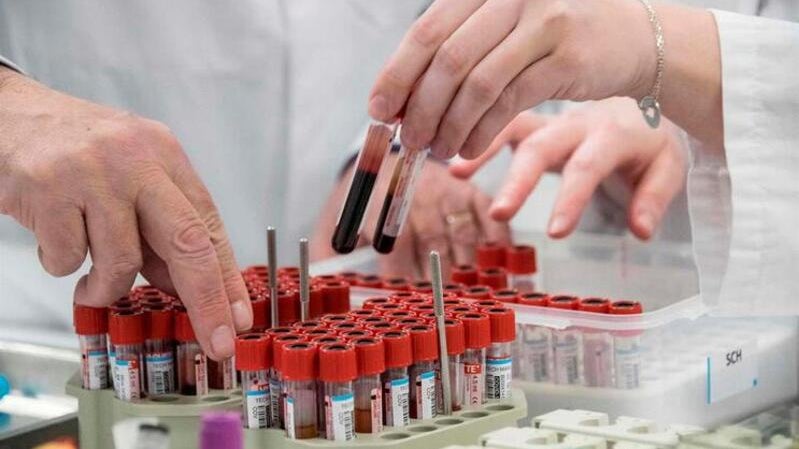Imagem de Análise de sangue pode vir a detetar cancro em pessoas ainda sem sintomas