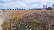 Imagem de Recuperar Estádio José Lino ou jogar no Liceu (áudio)