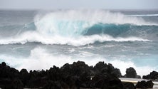 Imagem de Madeira sob aviso amarelo devido à agitação marítima
