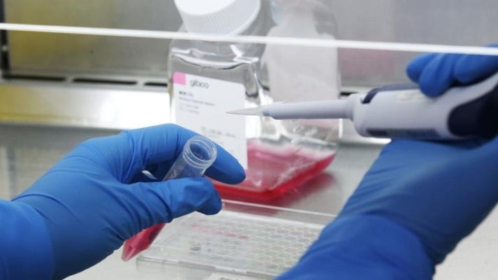 Imagem de Covid-19: Consórcio propõe terapia inovadora para eliminar o vírus em segundos
