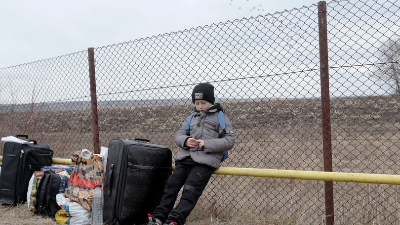 Imagem de Número de refugiados ultrapassa 422 mil pessoas