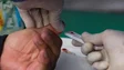 Imagem de Associação de diabéticos reclama maior agilização no acesso a bombas de insulina