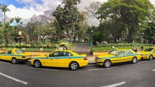 Imagem de Covid-19: Taxistas da Madeira estão isentos de pagar taxas de controlo metrológico de taxímetros