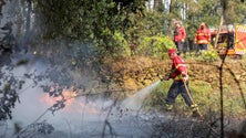 Imagem de Mais de 80 concelhos em risco máximo de incêndio