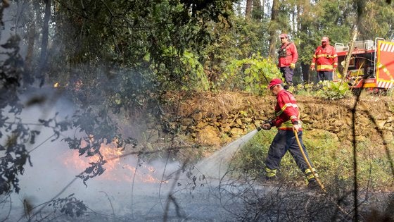 Imagem de Mais de 80 concelhos em risco máximo de incêndio