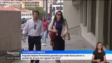 Imagem de Idalina Perestrelo garantiu em tribunal que nada fazia prever a queda da árvore do Monte (vídeo)