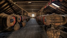 Imagem de Adegas Blandy`s Wine Lodge reabrem no Dia da Região