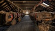 Imagem de Adegas Blandy`s Wine Lodge reabrem no Dia da Região