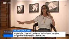Imagem de «The Fall» pode ser vista na Galeria Cecília Zino (vídeo)
