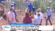 Imagem de Parceria entre secretarias da Inclusão Social e do Ambiente cria empregos e previne incêndios (Vídeo)