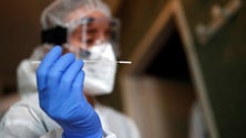 Imagem de Mais de 290 mil testes feitos na Região (vídeo)