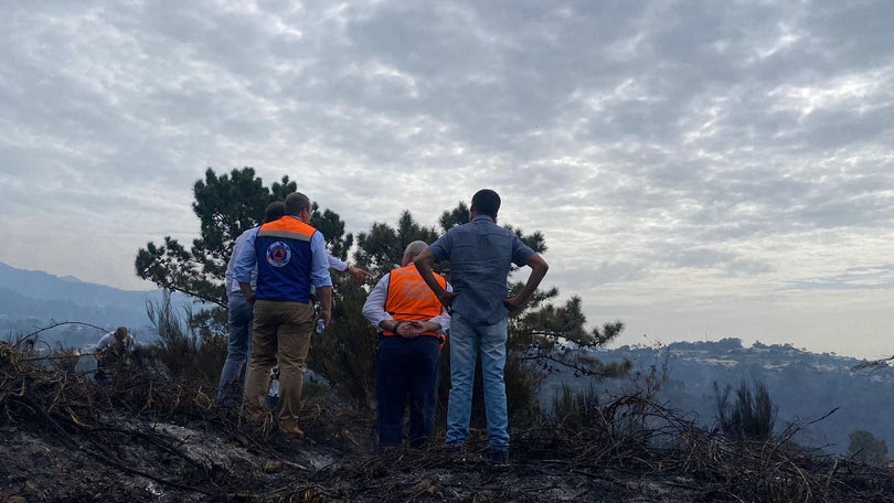 Imagem de Vinte pessoas receberam apoio psicológico devido aos fogos na Madeira