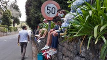 Imagem de Rali Vinho Madeira: Cerca de 50% do público que assistiu à prova no Santo da Serra não usou máscara (Vídeo)