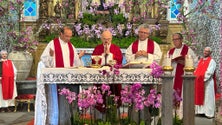 Imagem de Festividades de São Pedro na Ribeira Brava (vídeo)