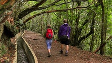Imagem de Percurso encerrado na Levada do Furado