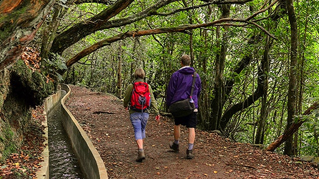 Imagem de Percurso encerrado na Levada do Furado