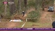 Imagem de A freguesia do Campanário recebeu a segunda prova da Taça da Madeira de Downhill