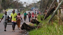 Imagem de Madeira promove campanha por Moçambique até 7 abril