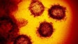 Imagem de Cientistas britânicos desdramatizam efeitos de nova variante