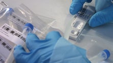 Imagem de Continente altera período de isolamento de assintomáticos